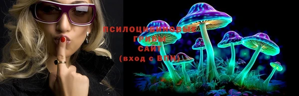 не бодяженный Приозерск