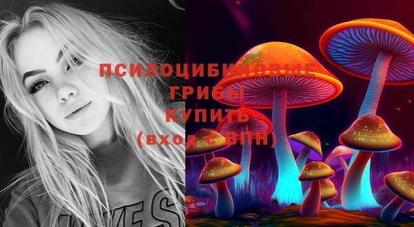 не бодяженный Приозерск