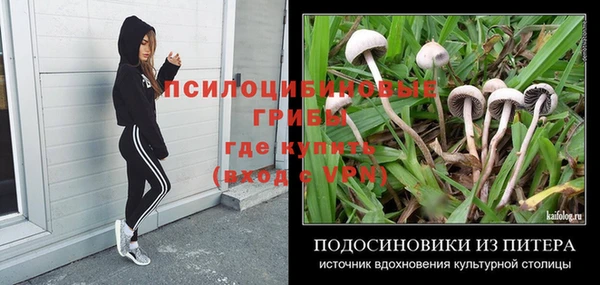 не бодяженный Приозерск